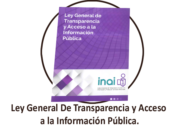  Ley General de Transparencia y Acceso a la Información Pública 