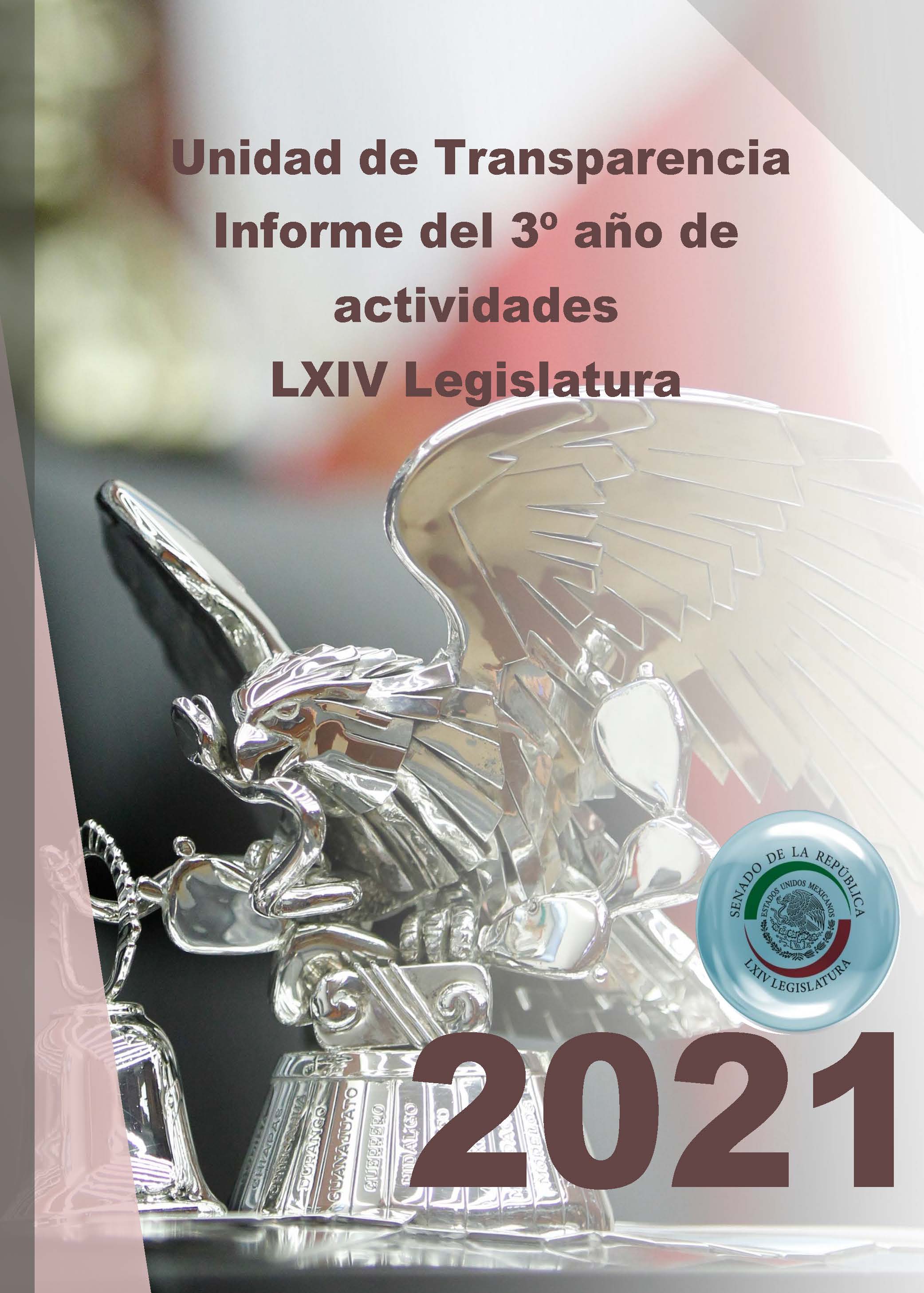 Informe 3er año LXIV Legislatura